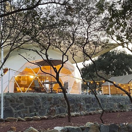 El Gato Glamping Con Vista A Prismas Basalticos Hotel Huasca de Ocampo Eksteriør billede