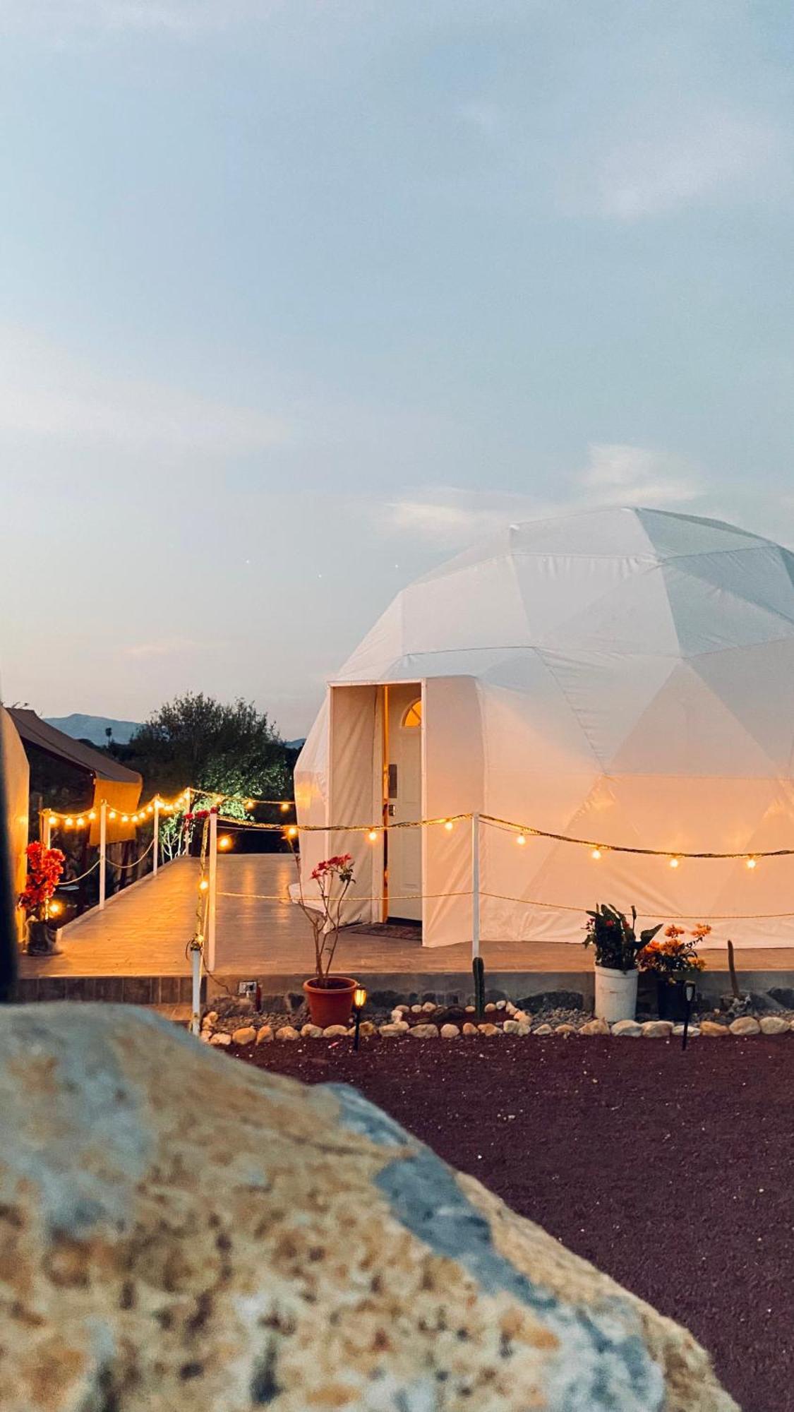 El Gato Glamping Con Vista A Prismas Basalticos Hotel Huasca de Ocampo Eksteriør billede