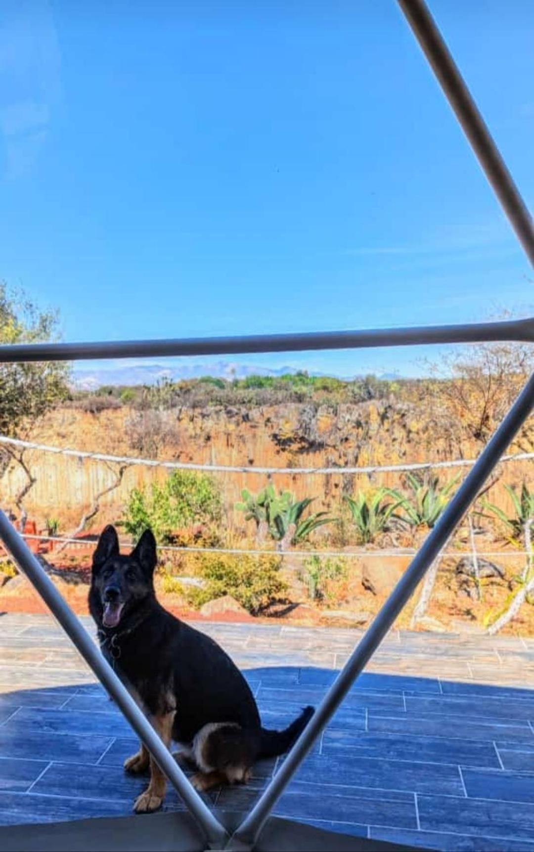 El Gato Glamping Con Vista A Prismas Basalticos Hotel Huasca de Ocampo Eksteriør billede